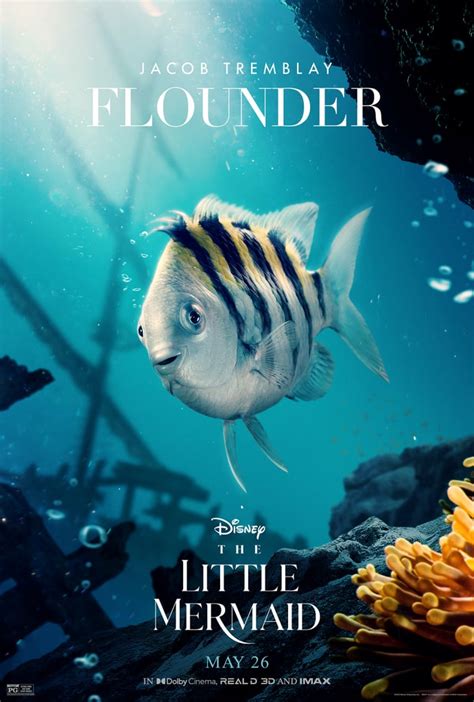 Apr 27, 2023 · The Little Mermaid Disney has also released new character posters of Ariel, Prince Eric, Ursula, King Triton, Scuttle, and Flounder as they appear in the new live-action Little Mermaid. Advertisement 